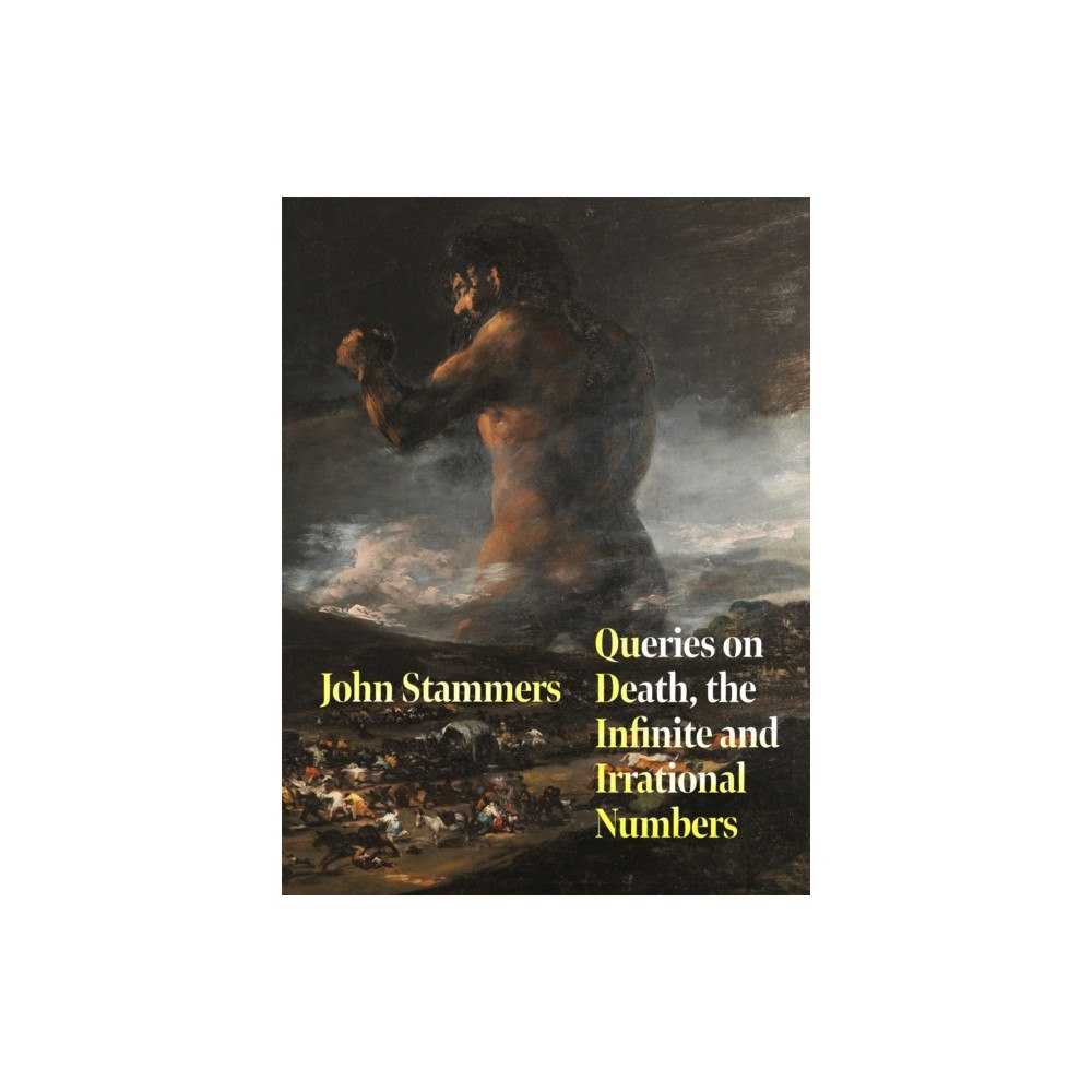 Pan Macmillan Queries on Death, the Infinite and Irrational Numbers (häftad, eng)