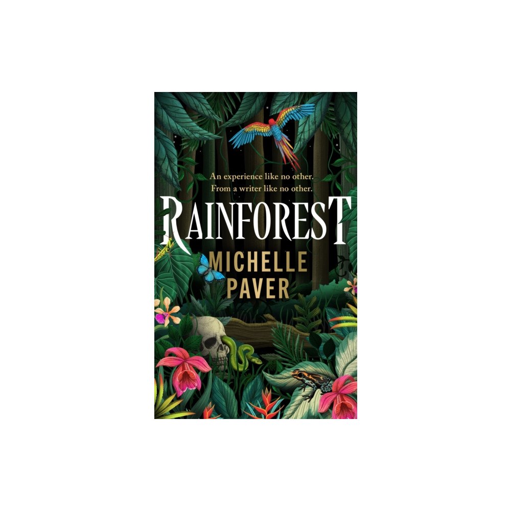 Orion Publishing Co Rainforest (inbunden, eng)