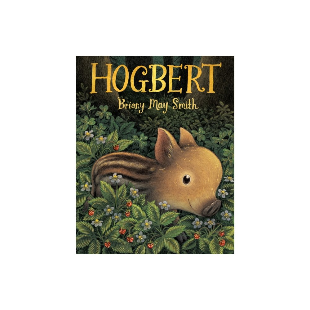 Walker Books Ltd Hogbert (inbunden, eng)