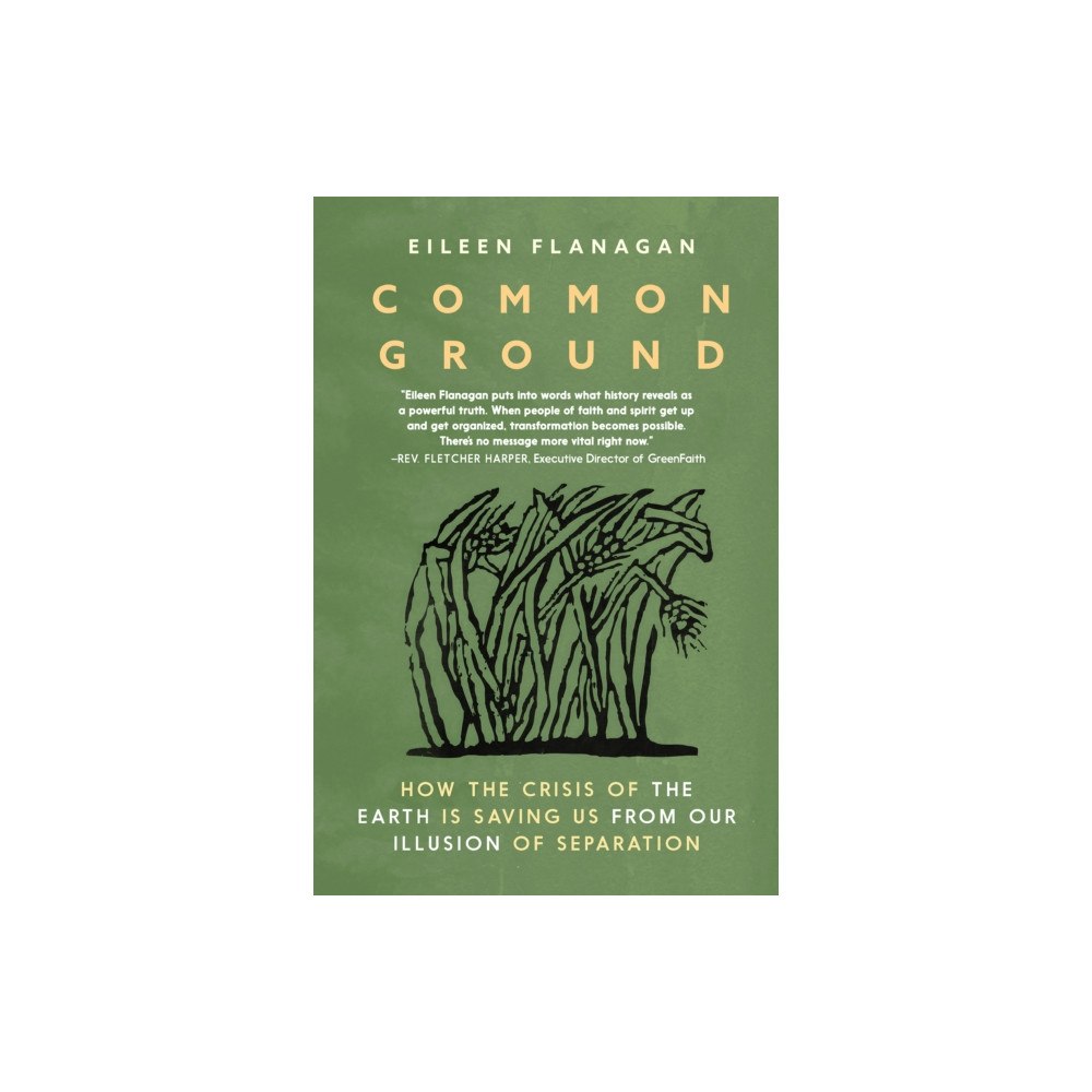 Seven Stories Press,U.S. Common Ground (häftad, eng)