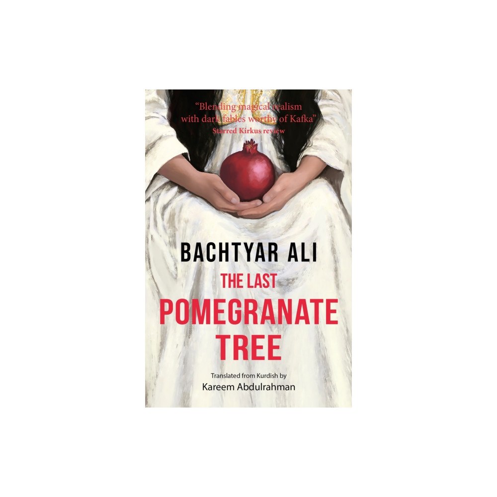 Afsana Press The Last Pomegranate Tree (häftad, eng)