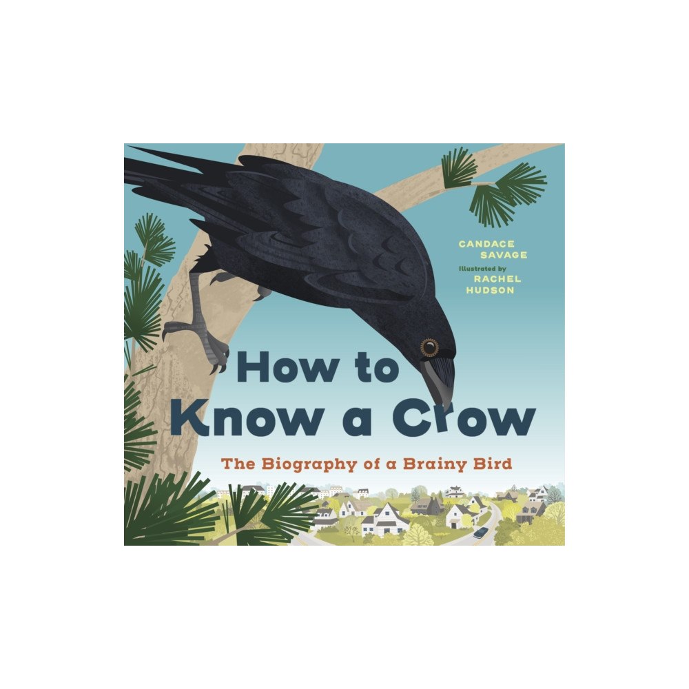 Greystone Books,Canada How to Know a Crow (häftad, eng)