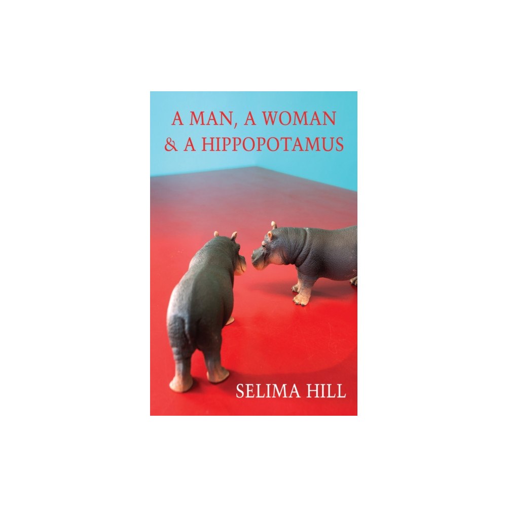Bloodaxe Books Ltd A Man, a Woman & a Hippopotamus (häftad, eng)