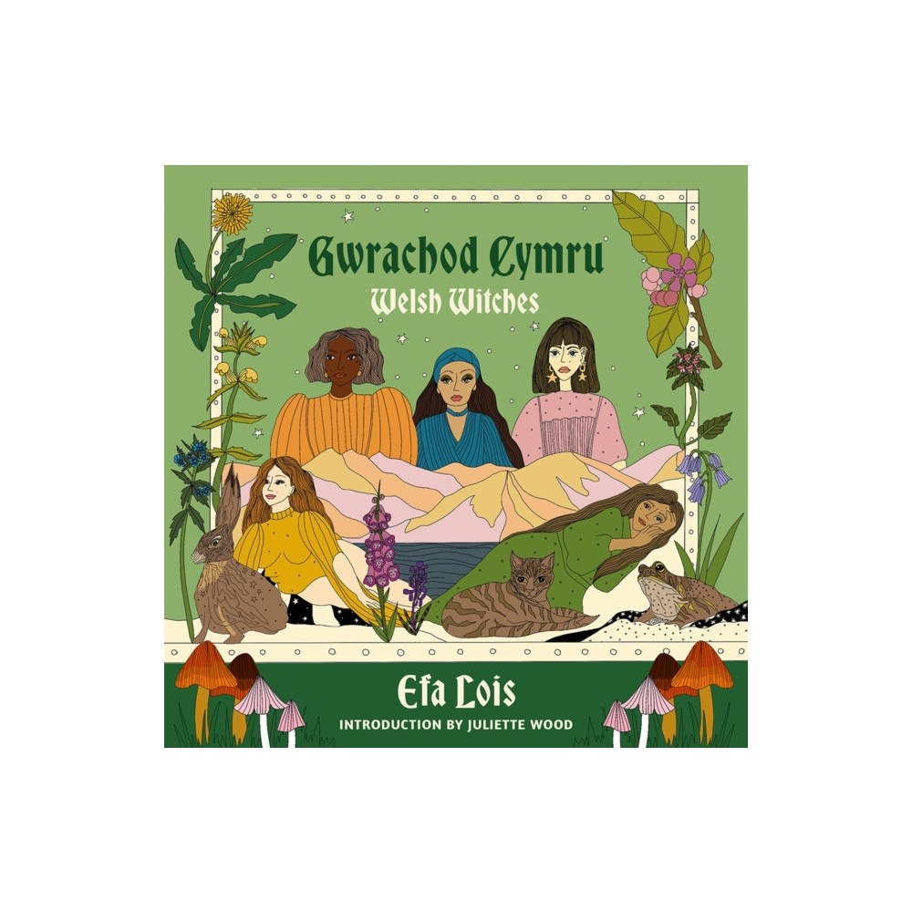 Poetry Wales Press Gwrachod Cymru | Welsh Witches (häftad, eng)