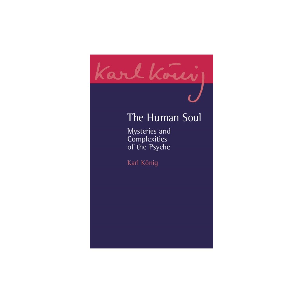 Floris Books The Human Soul (häftad, eng)