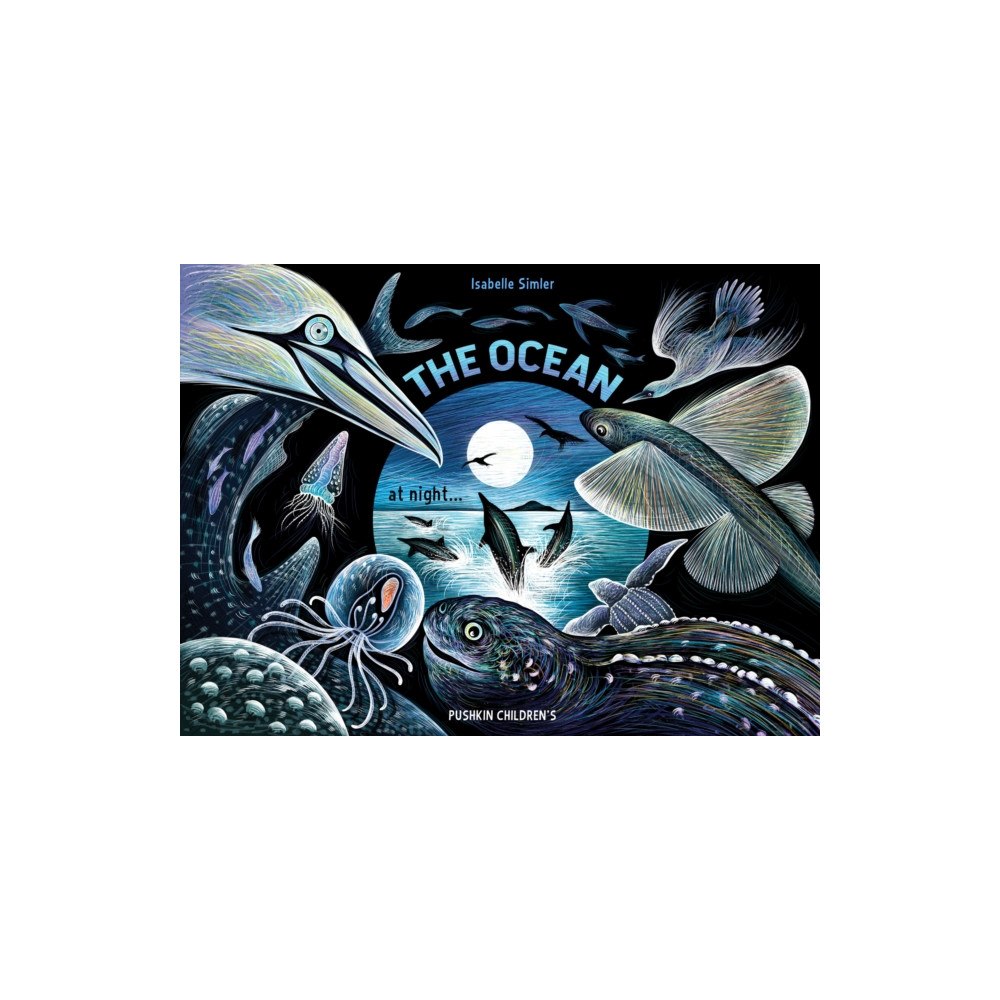 Pushkin Press The Ocean at Night (inbunden, eng)