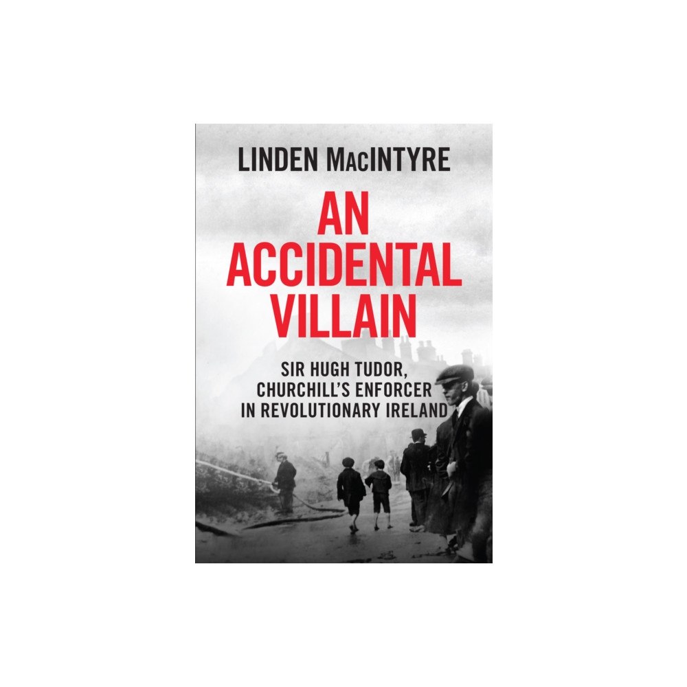 Merrion Press An Accidental Villain (häftad, eng)