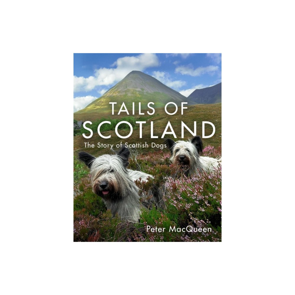 Bonnier Books Ltd Tails of Scotland (inbunden, eng)