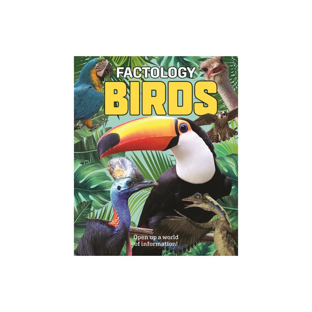 Button Books Factology: Birds (inbunden, eng)