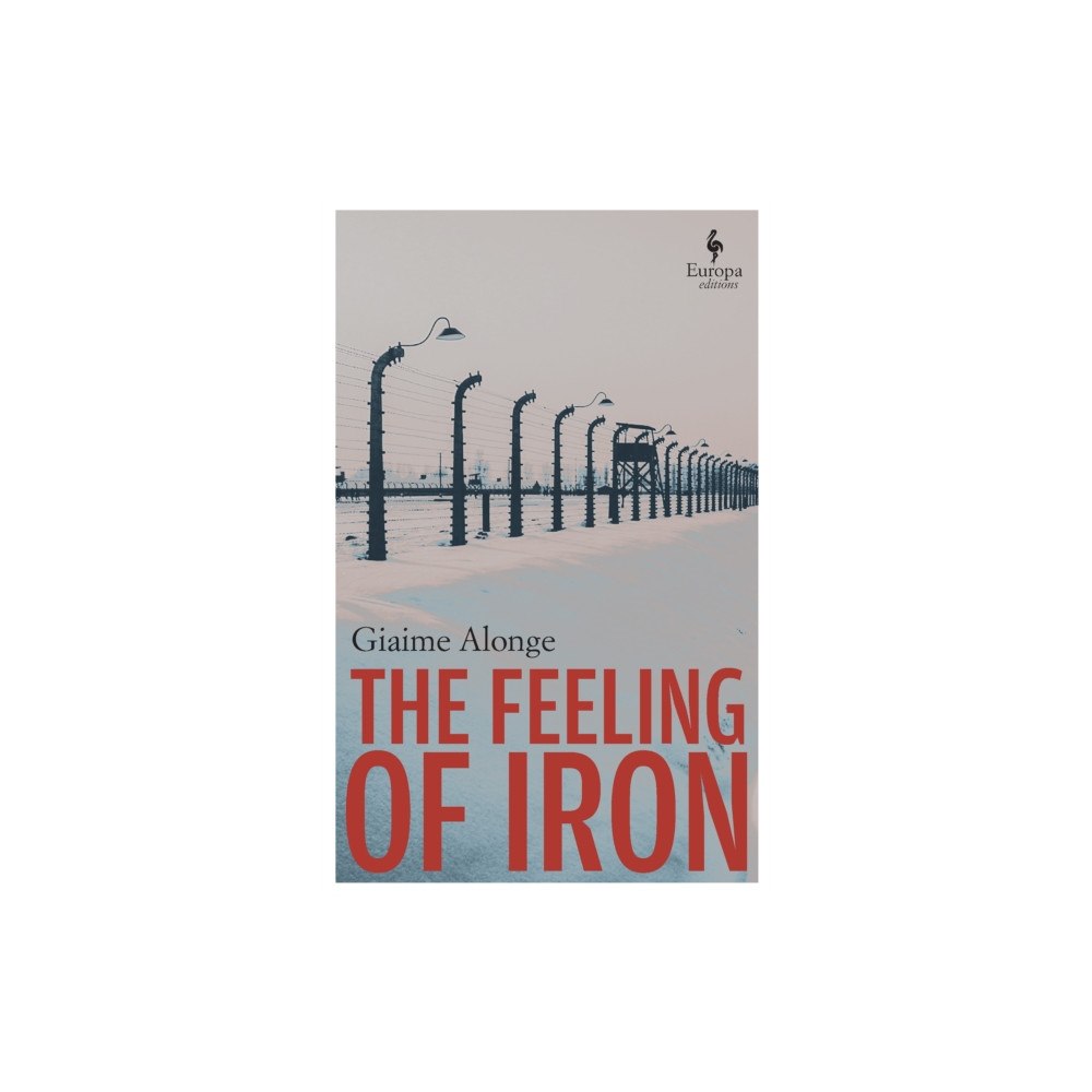 Europa Editions (UK) Ltd The Feeling of Iron (häftad, eng)