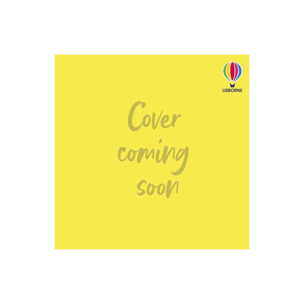 Usborne Publishing Ltd The Midnight Sweet Factory (häftad, eng)