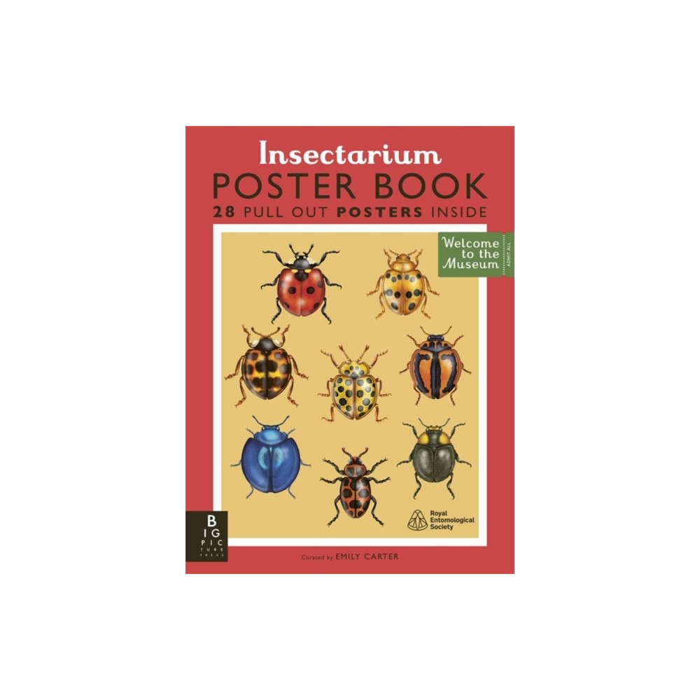 Bonnier Books Ltd Insectarium Poster Book (häftad, eng)