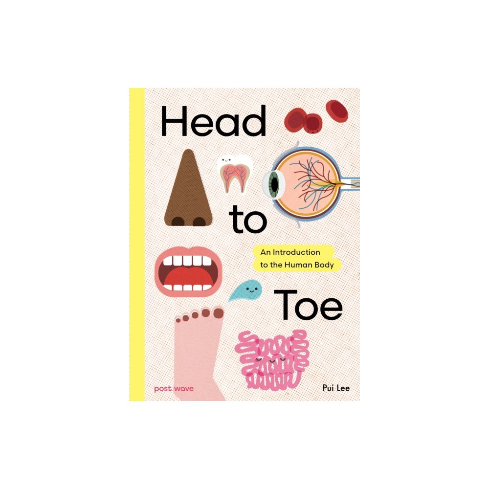 Post Wave Publishing UK Ltd Head to Toe (inbunden, eng)