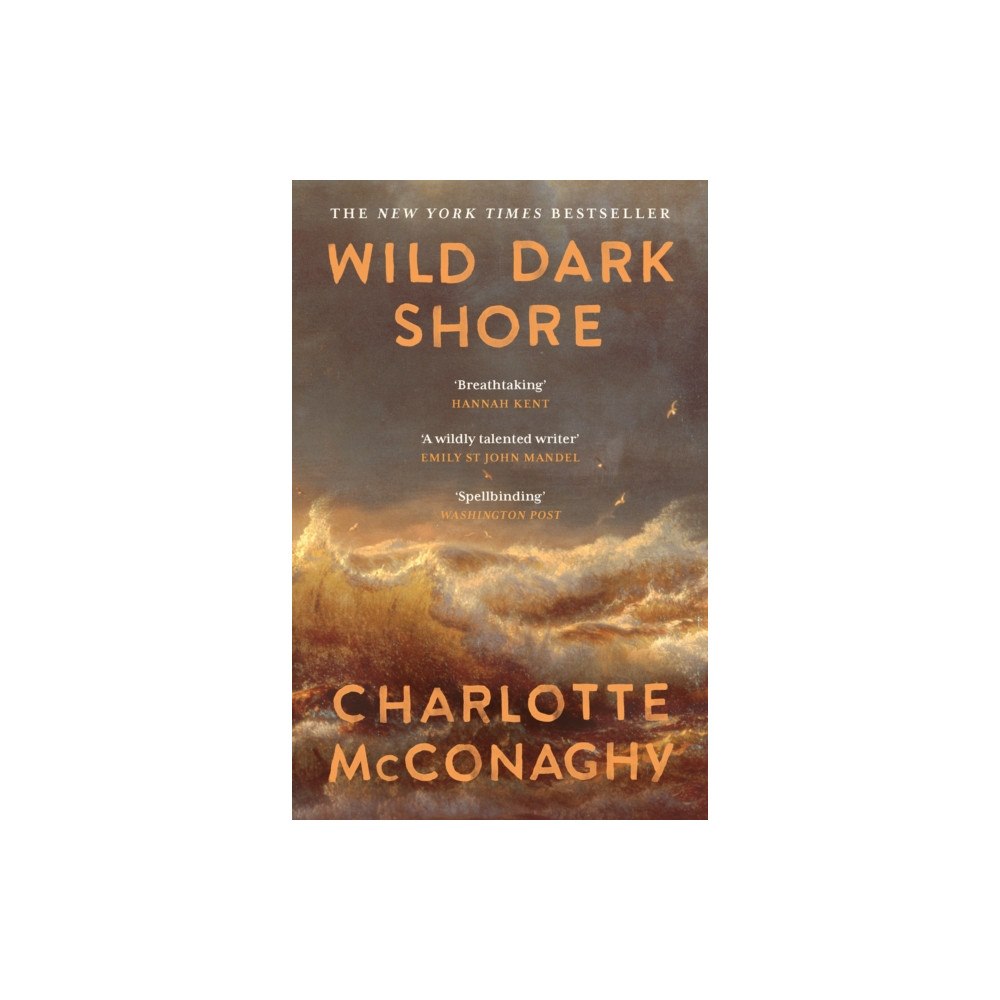 Canongate Books Wild Dark Shore (häftad, eng)