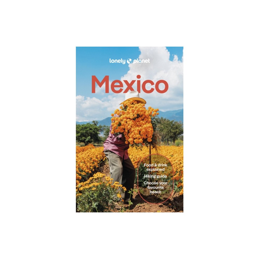 Lonely Planet Global Limited Lonely Planet Mexico (häftad, eng)