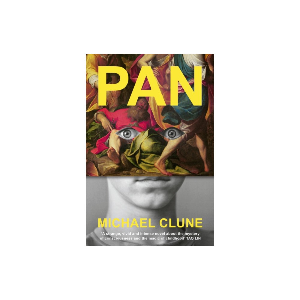 Vintage Publishing Pan (inbunden, eng)