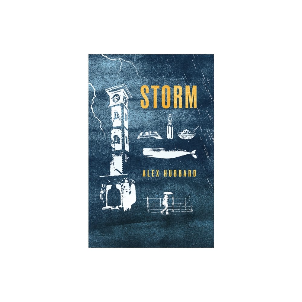 Poetry Wales Press Storm (häftad, eng)