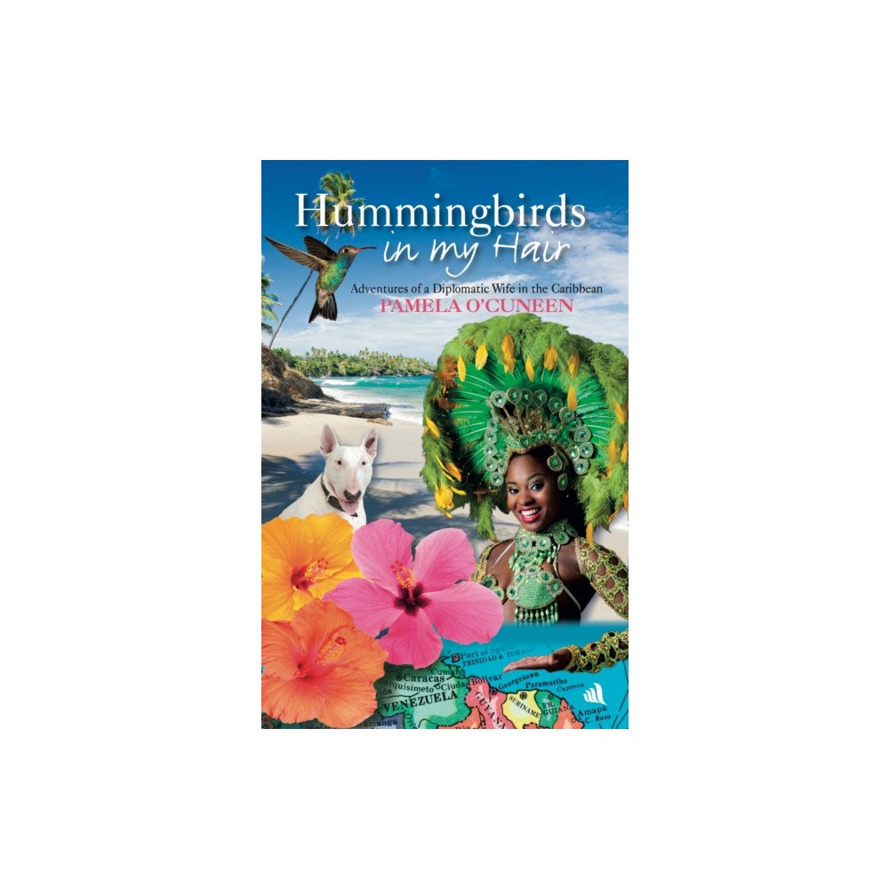 Chiselbury Publishing Hummingbirds in My Hair (häftad, eng)