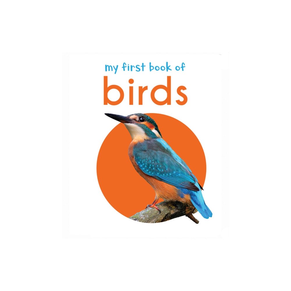 Prakash Books My First Book of Birds (inbunden, eng)