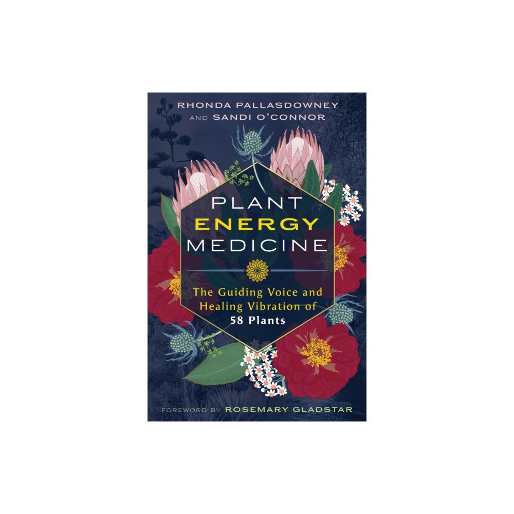 Inner Traditions Bear and Company Plant Energy Medicine (häftad, eng)