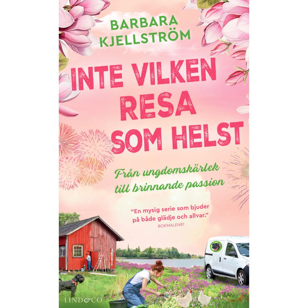 Barbara Kjellström Inte vilken resa som helst : från ungdomskärlek till brinnande passion (pocket)