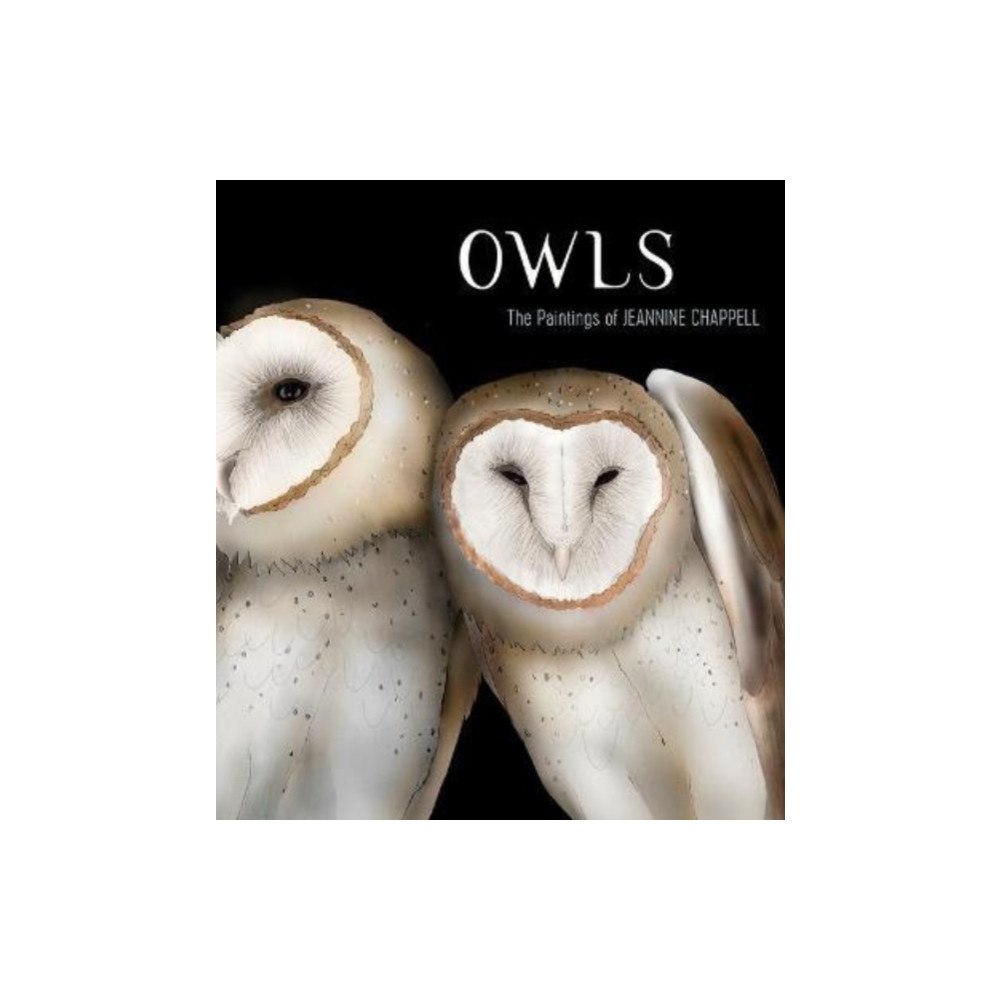 Pomegranate Europe OWLS THE PAINTINGS OF JEANNINE CHAPPELL (häftad, eng)