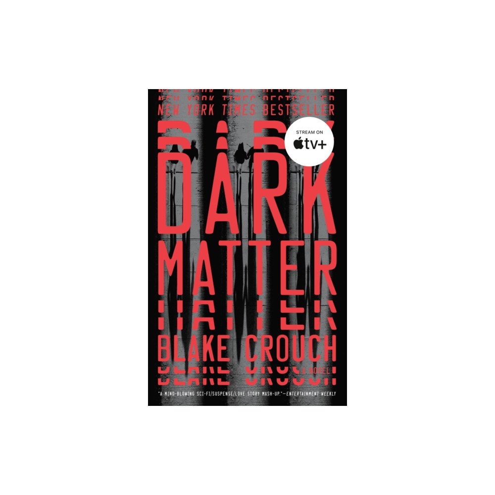 Not Stated Dark Matter (häftad, eng)