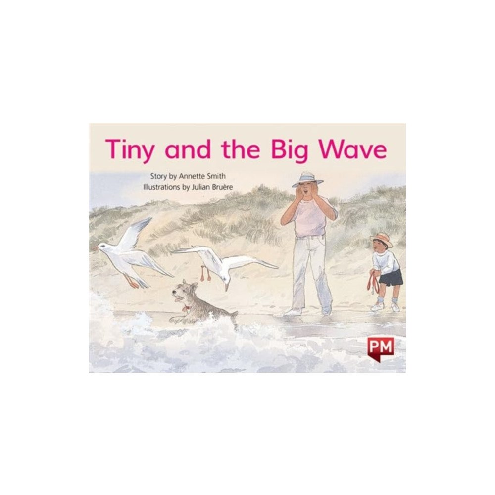 SCHOLASTIC LTD PM YELLOW TINY & THE BIG WAVE PM STORYBO (häftad, eng)