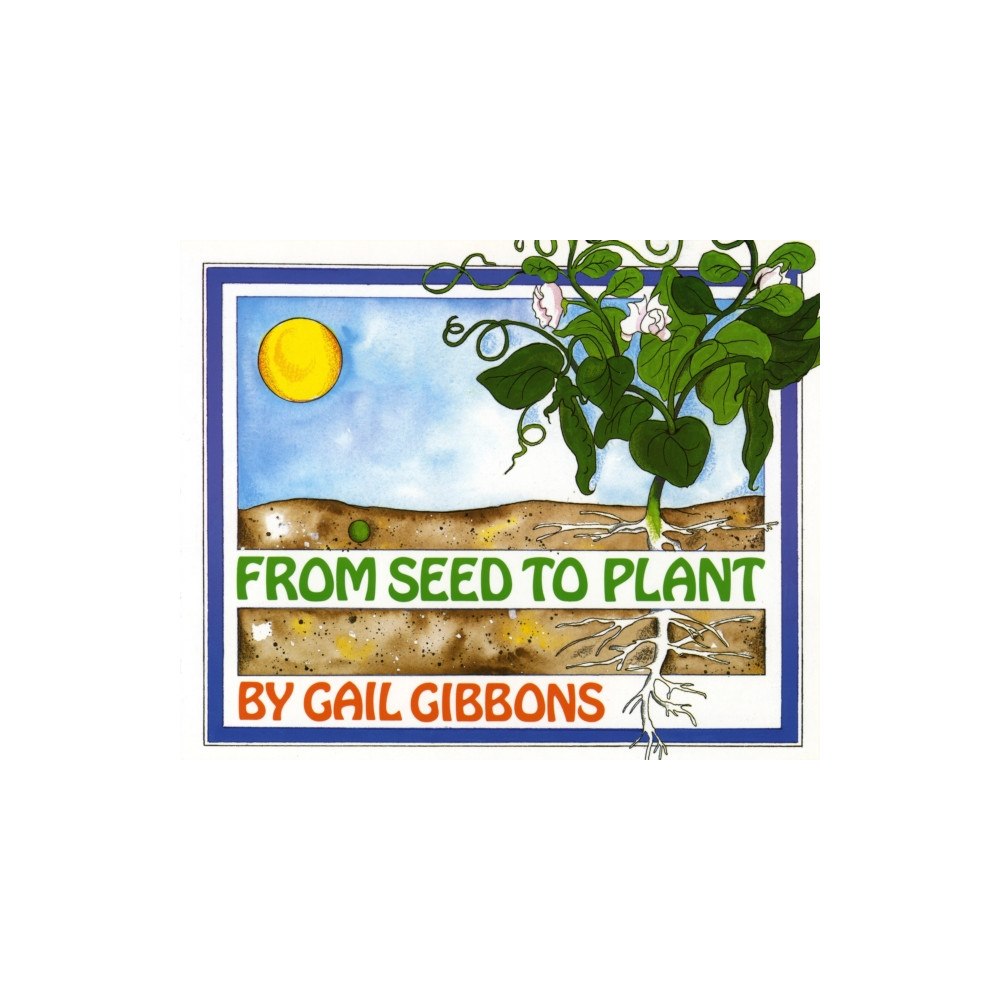 Holiday House Inc From Seed to Plant (häftad, eng)