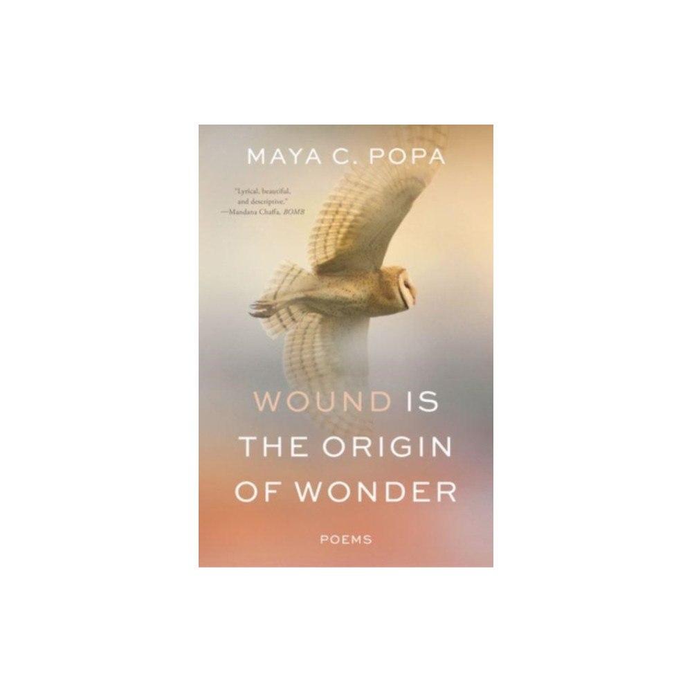 Not Stated Wound Is the Origin of Wonder - Poems (häftad, eng)