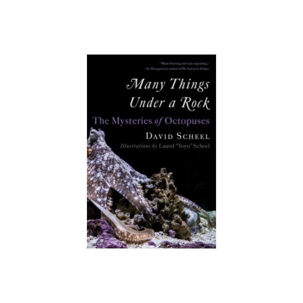 Not Stated Many Things Under a Rock - The Mysteries of Octopuses (häftad, eng)