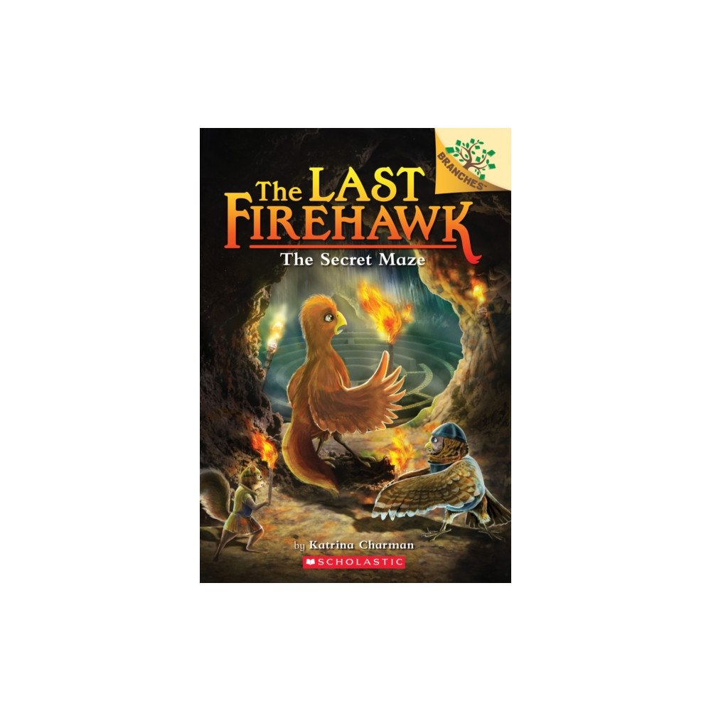 Not Stated The Secret Maze: A Branches Book (The Last Firehawk #10) (häftad, eng)