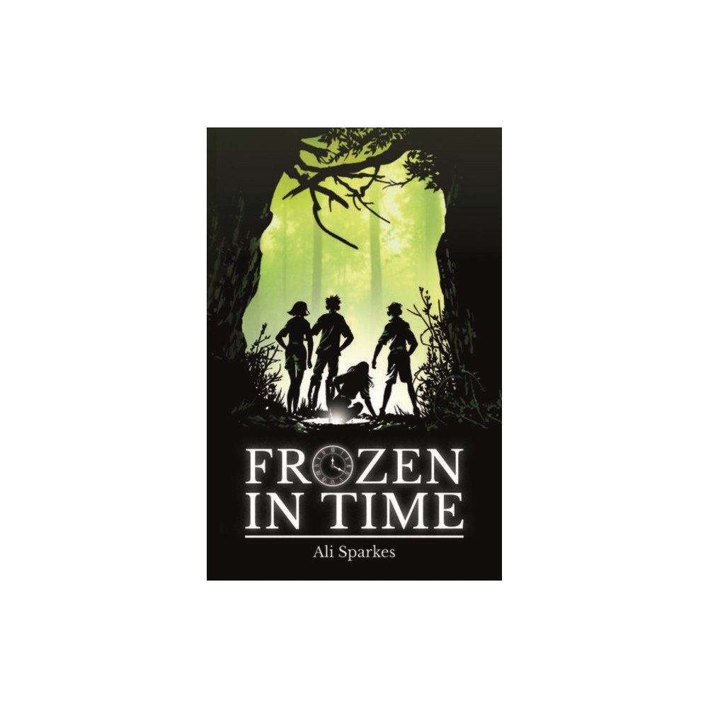 Not Stated Rollercoasters: Frozen in Time (häftad, eng)