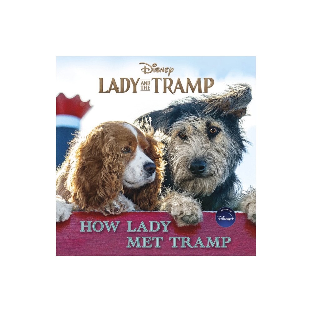 Not Stated Lady and the Tramp: How Lady Met Tramp (häftad, eng)