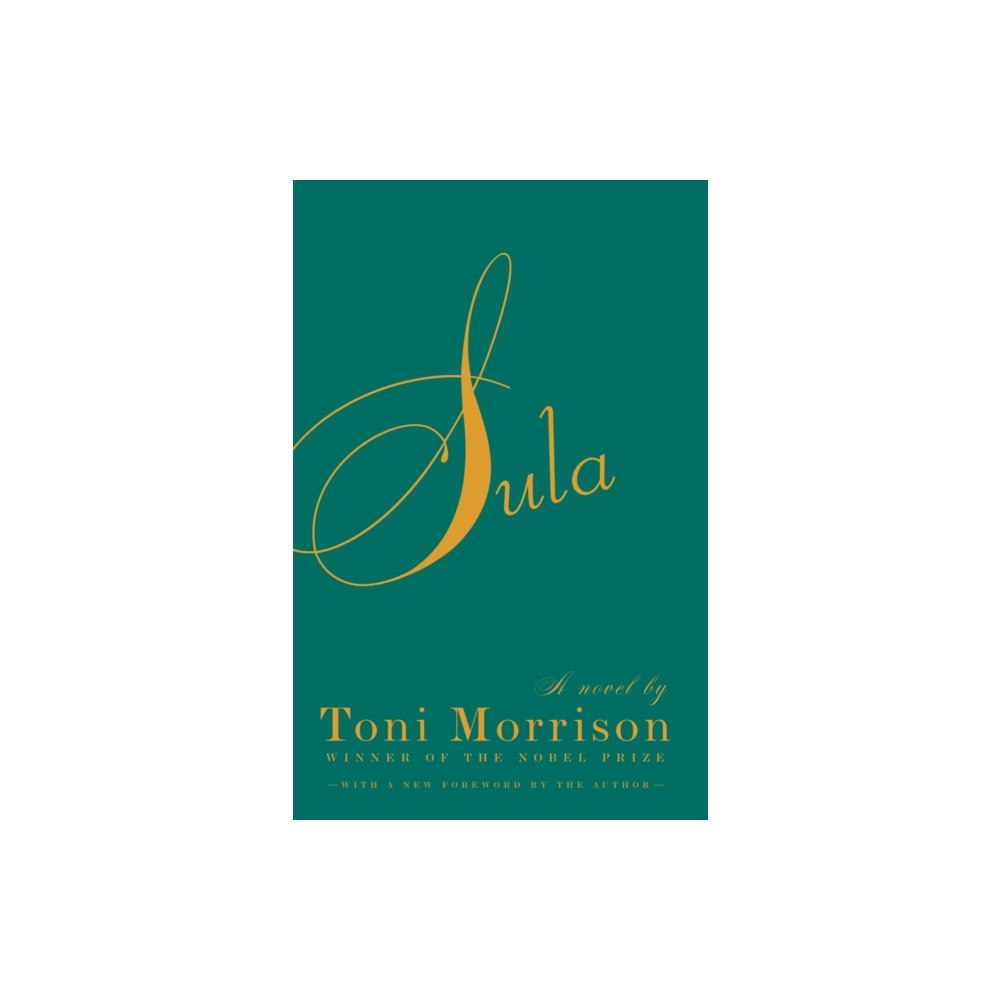 Not Stated Sula (häftad, eng)