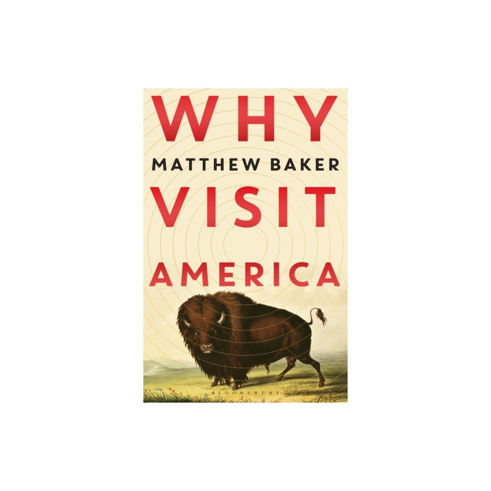 Not Stated Why Visit America (häftad, eng)