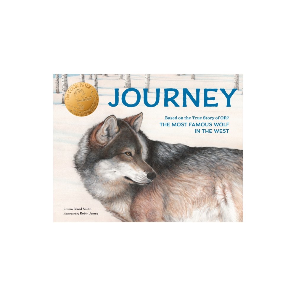 Not Stated Journey (häftad, eng)