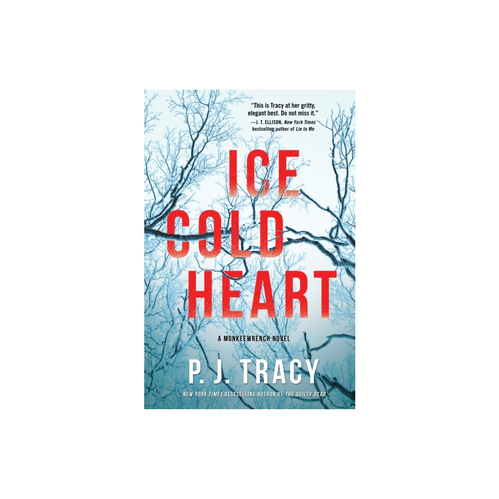 Not Stated Ice Cold Heart (häftad, eng)