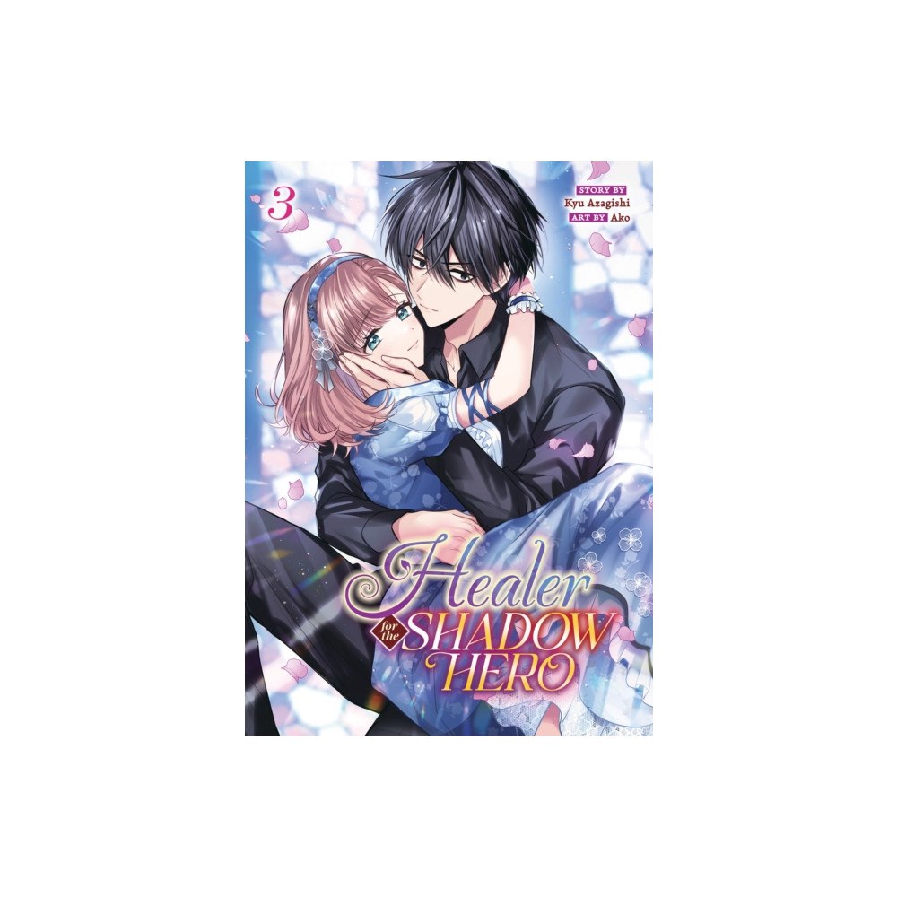 Seven Seas Entertainment, LLC Healer for the Shadow Hero (Manga) Vol. 3 (häftad, eng)