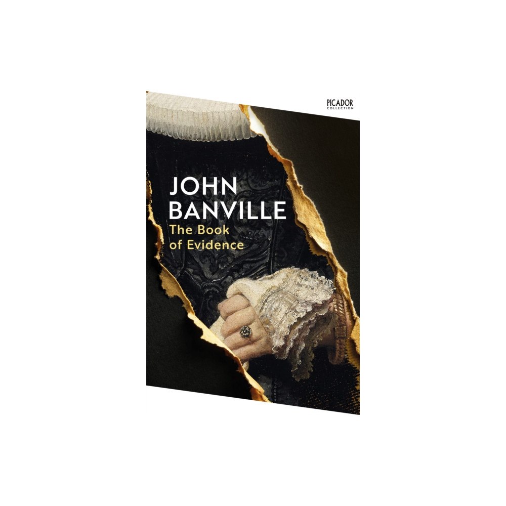 Pan Macmillan The Book of Evidence (häftad, eng)