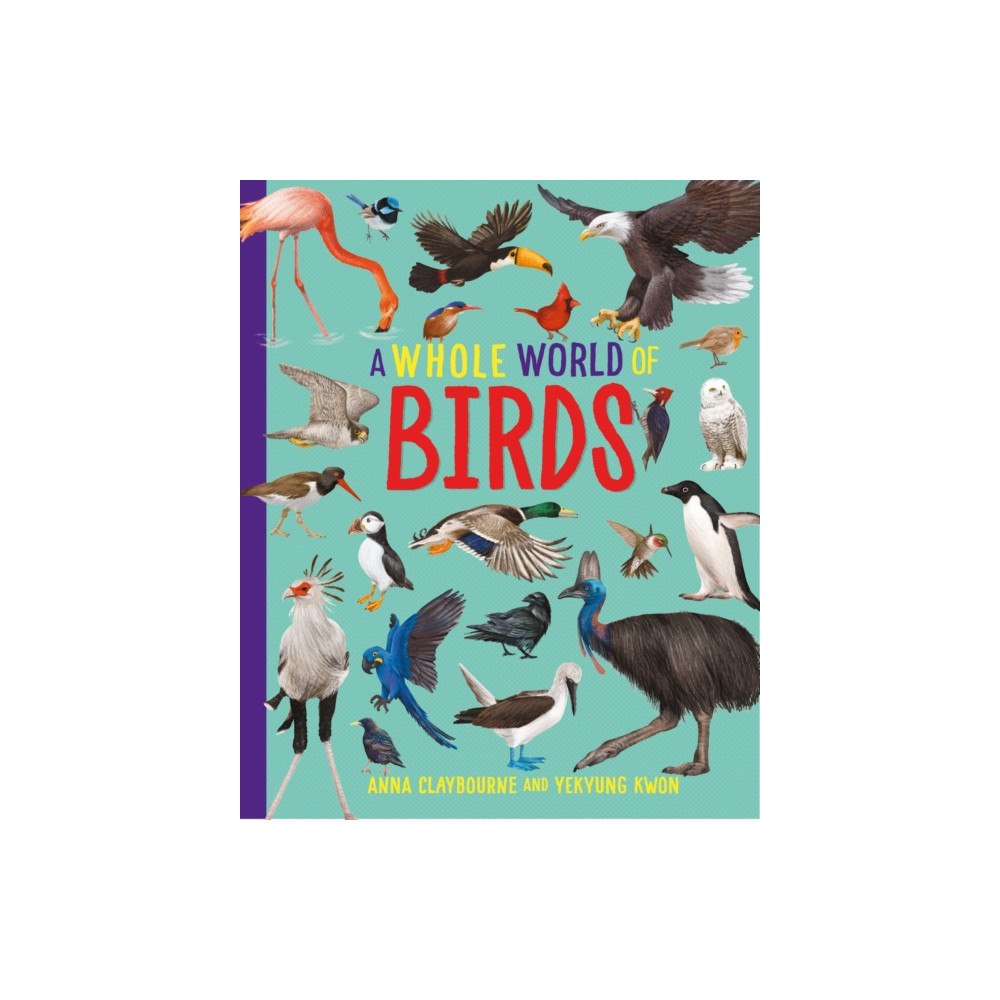 Hachette Children's Group A Whole World of...: Birds (häftad, eng)