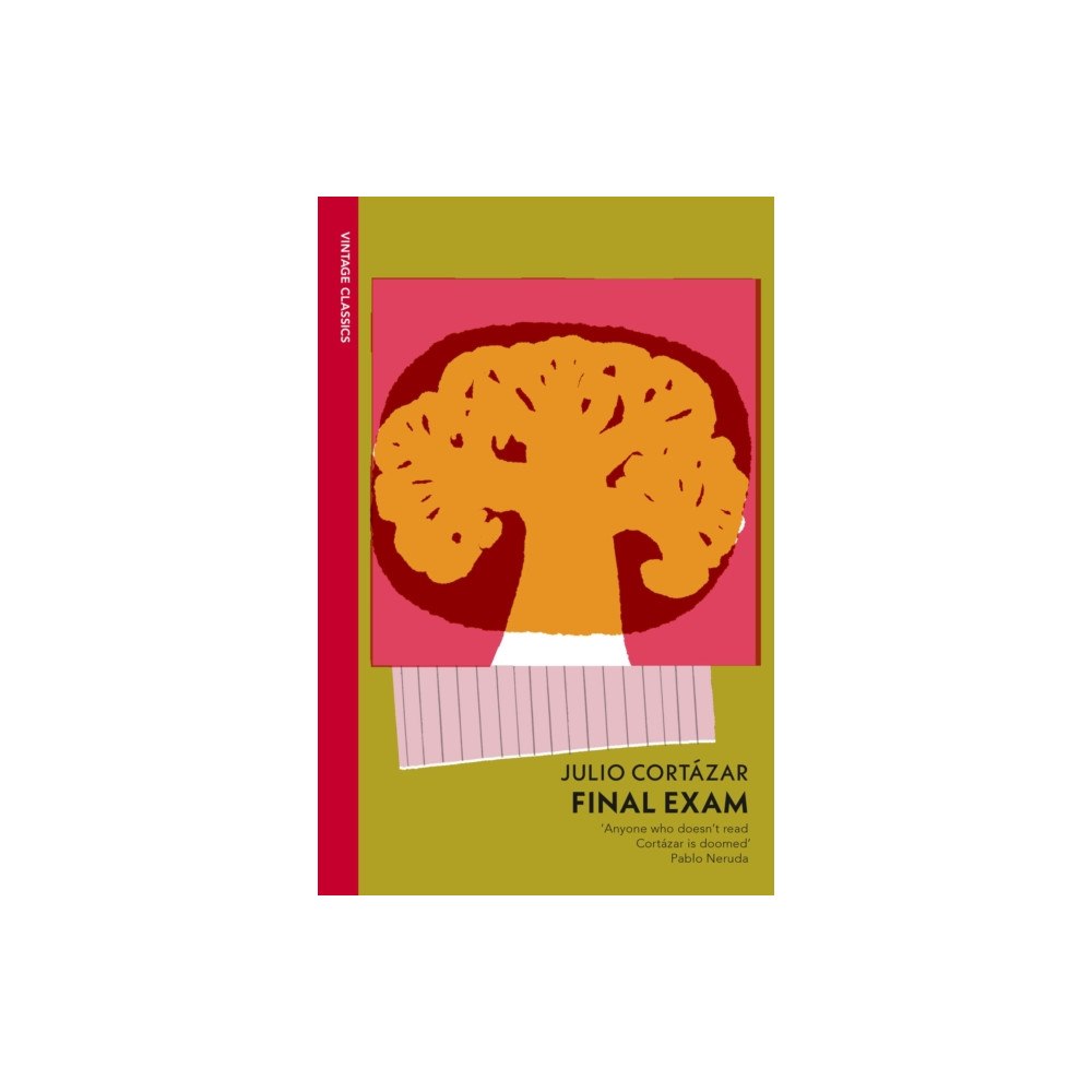 Vintage Publishing Final Exam (häftad, eng)