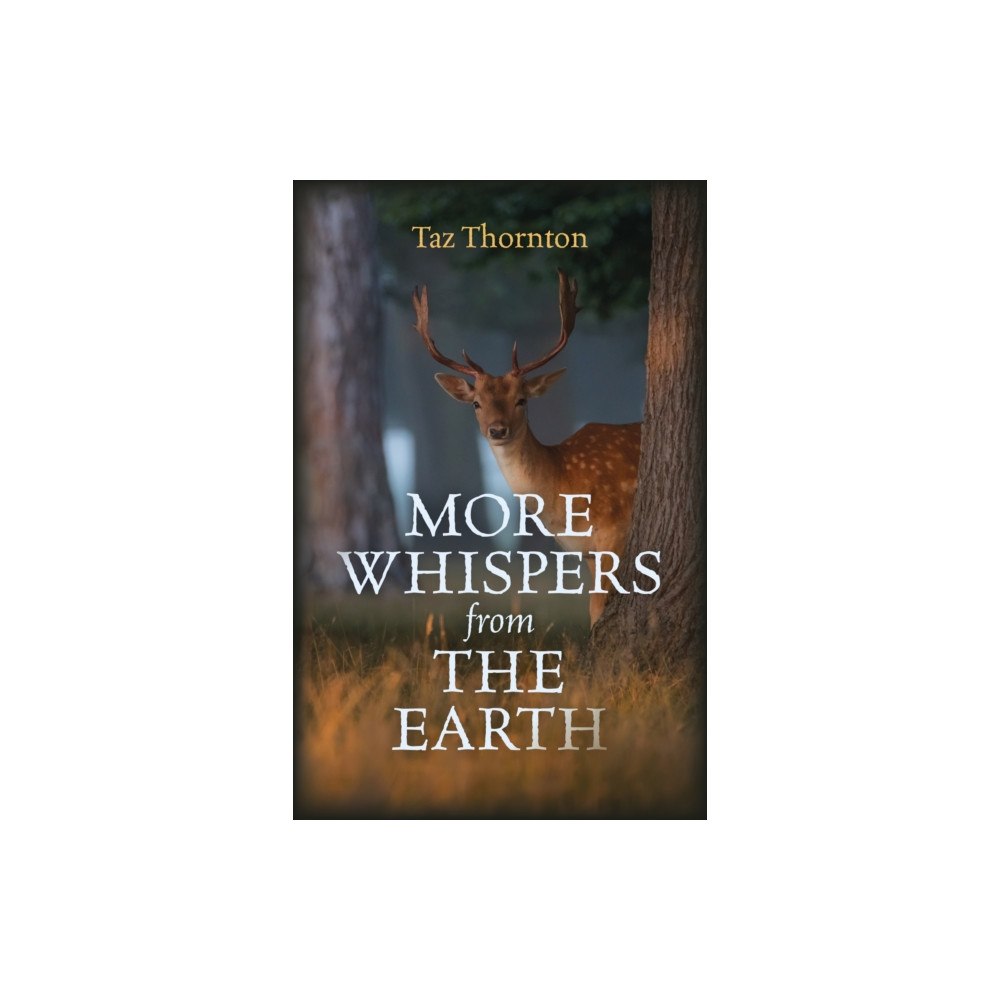 Collective Ink More Whispers from the Earth (häftad, eng)