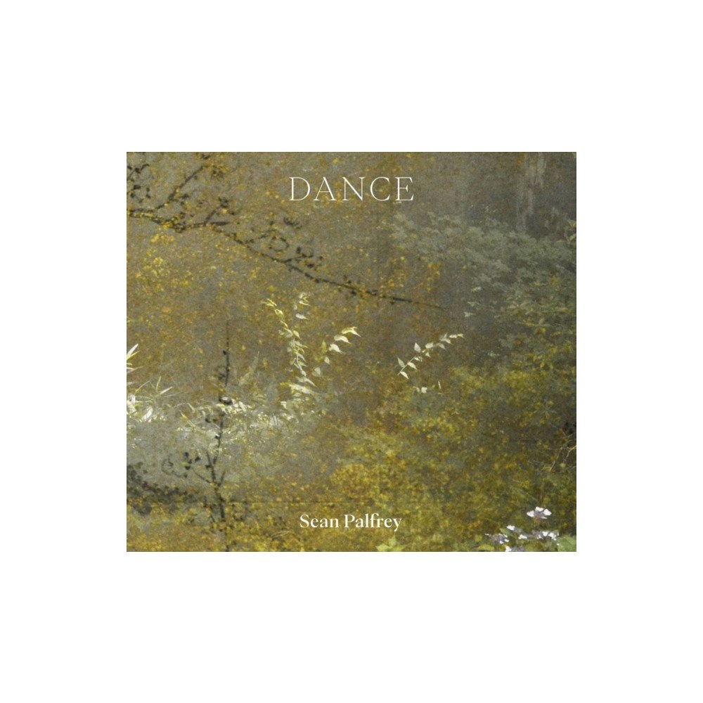 Hurtwood Press Sean Palfrey: Dance (häftad, eng)
