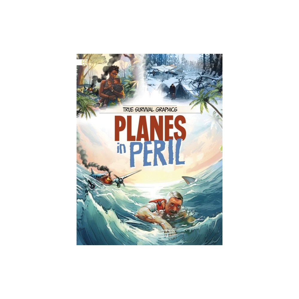 Capstone Global Library Ltd Planes in Peril (häftad, eng)