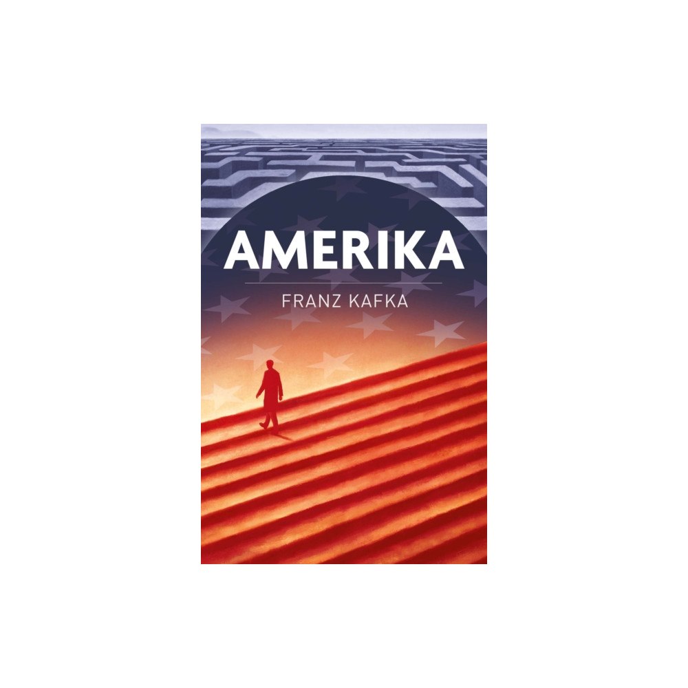 Arcturus publishing ltd Amerika (häftad, eng)