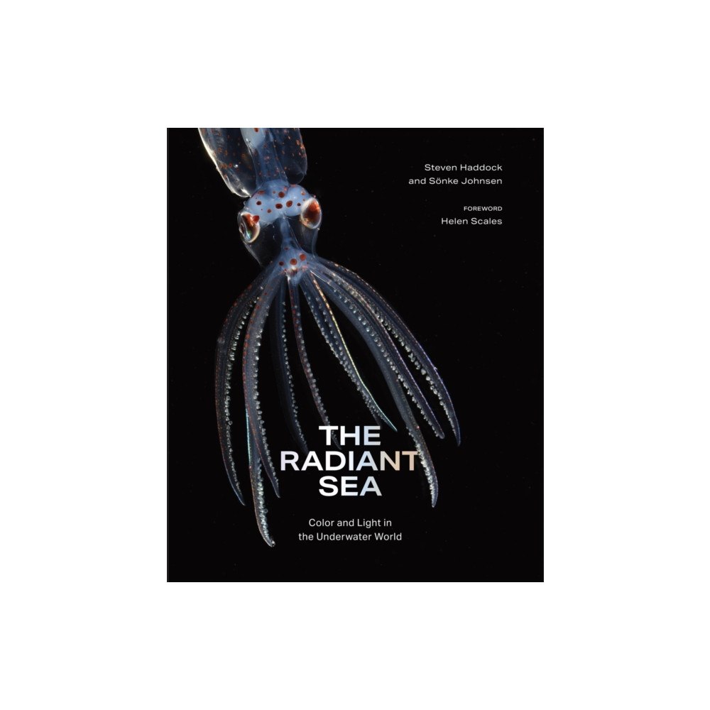 Abrams The Radiant Sea (inbunden, eng)