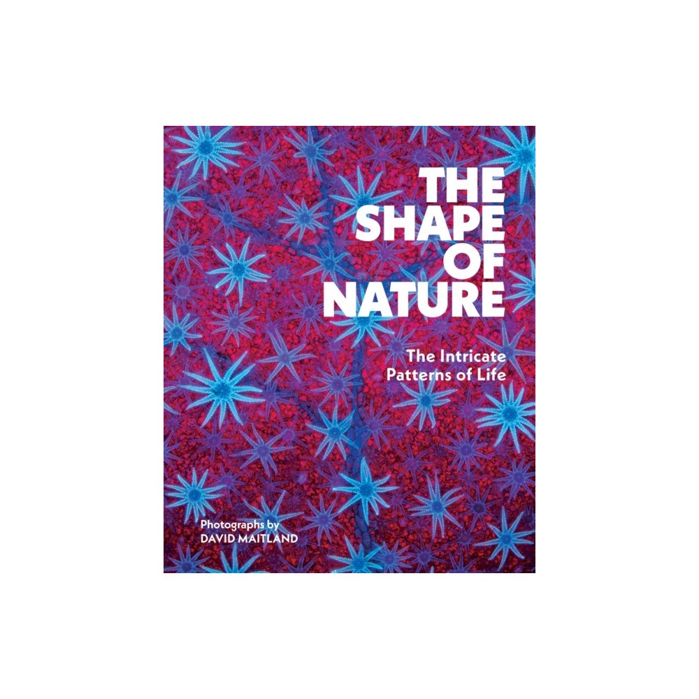 Abrams The Shape of Nature (inbunden, eng)