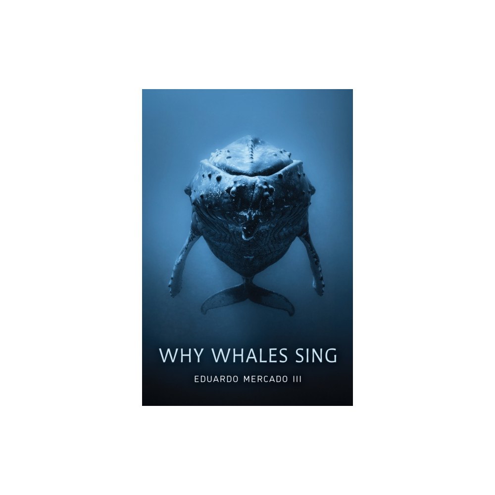 Johns Hopkins University Press Why Whales Sing (inbunden, eng)