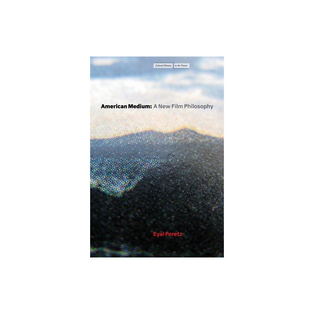 Stanford university press American Medium (häftad, eng)